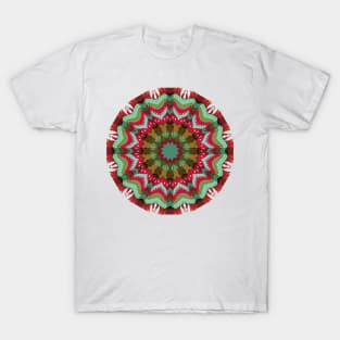 Retro Fall Mandala Pattern T-Shirt